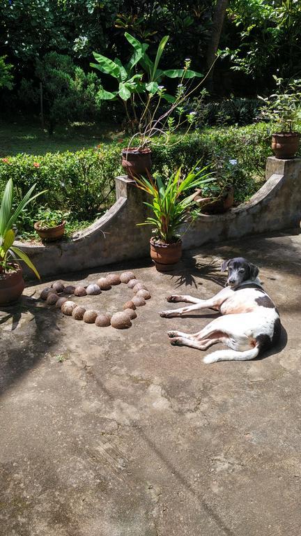 Bed and Breakfast Arabian Soul Varkala Exterior foto