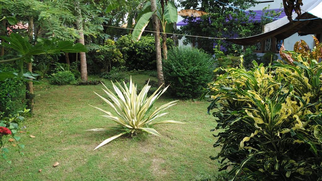 Bed and Breakfast Arabian Soul Varkala Exterior foto