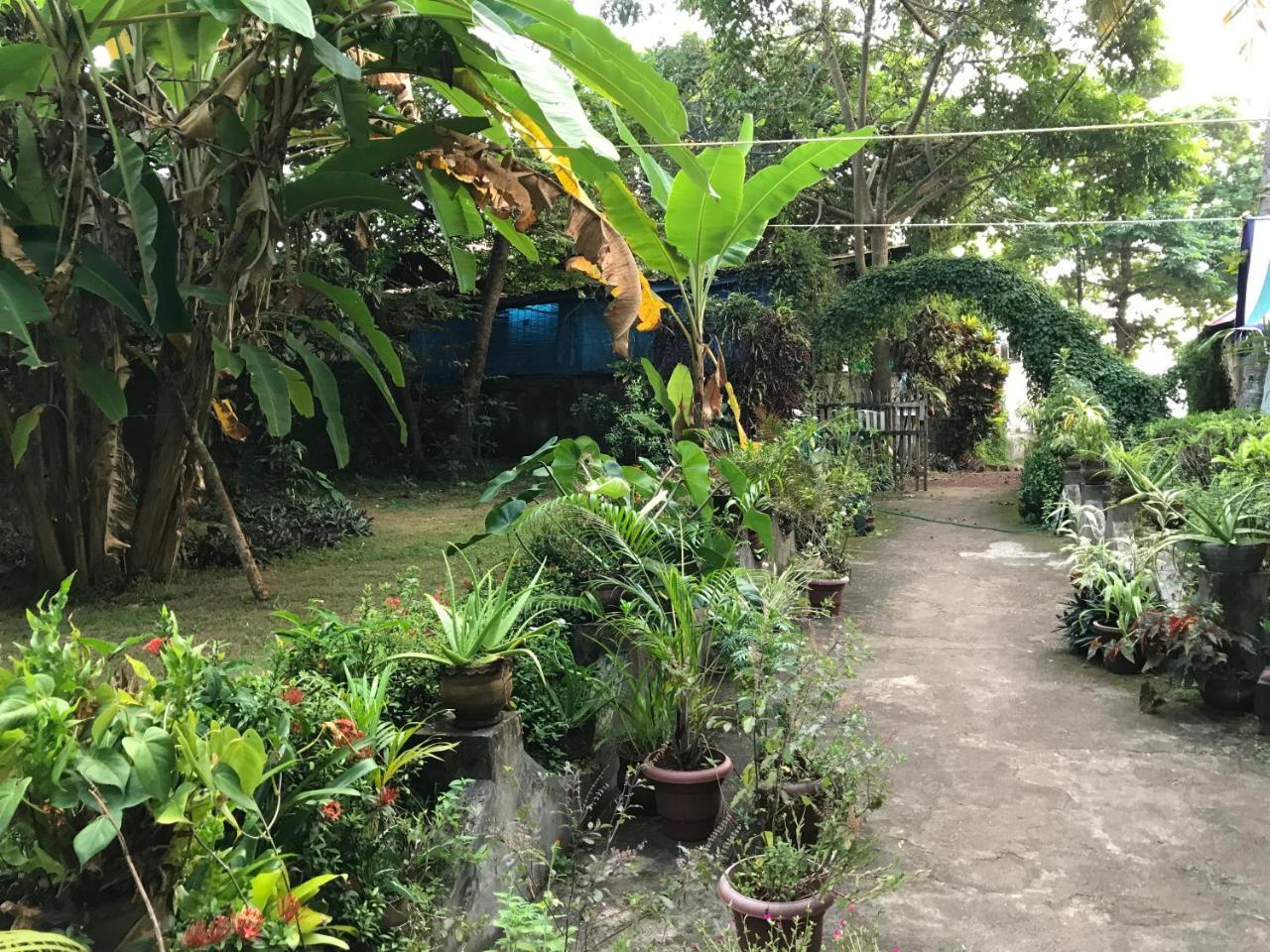 Bed and Breakfast Arabian Soul Varkala Exterior foto