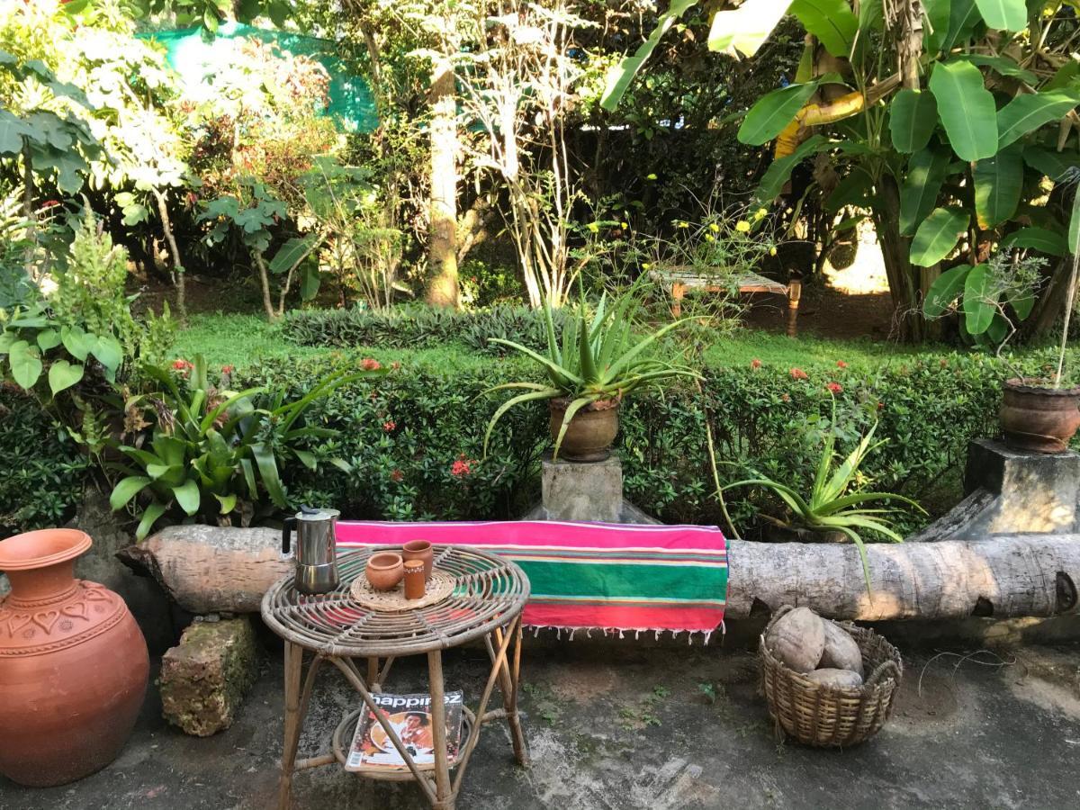 Bed and Breakfast Arabian Soul Varkala Exterior foto